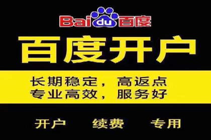 深入解析SEM账户竞价运营成功案例